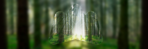 marketo banner envari.png
